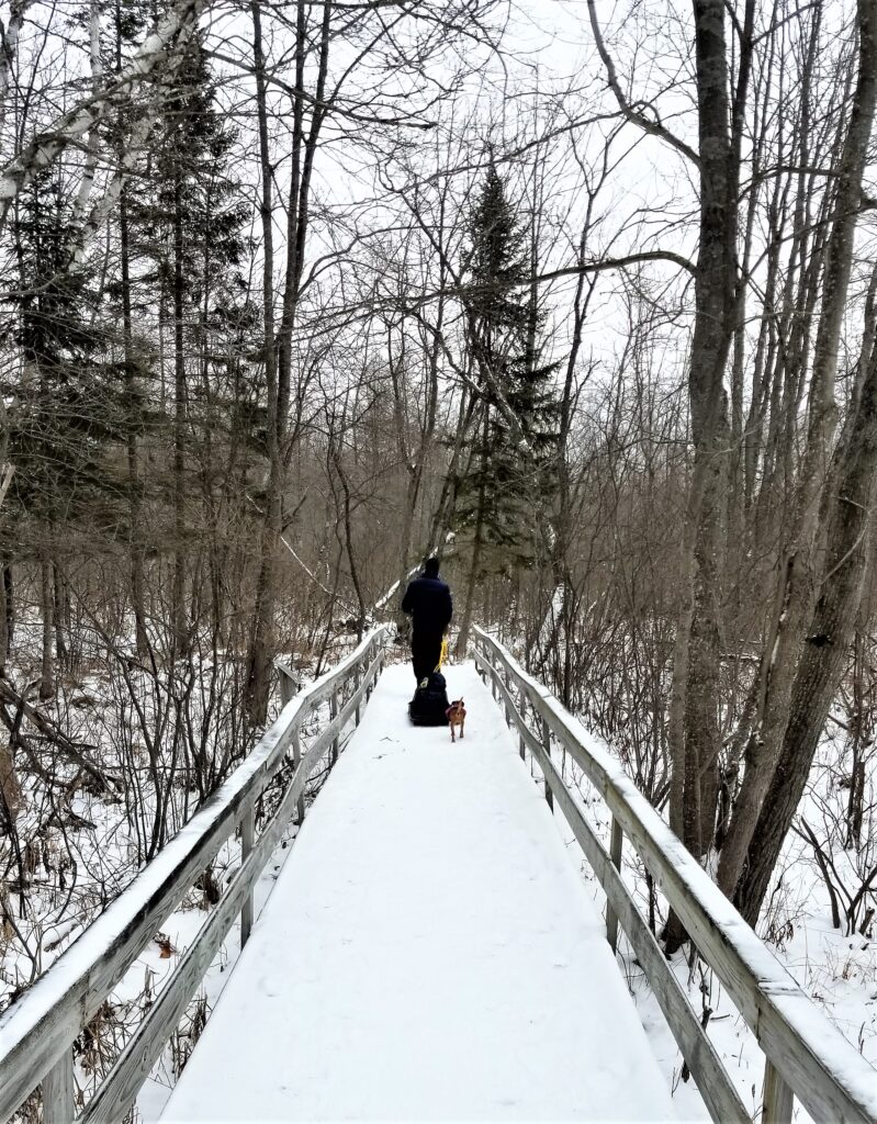 A man walks along a snow-covered path pulling a child in a tobaggan. A small brown dog follows behind.