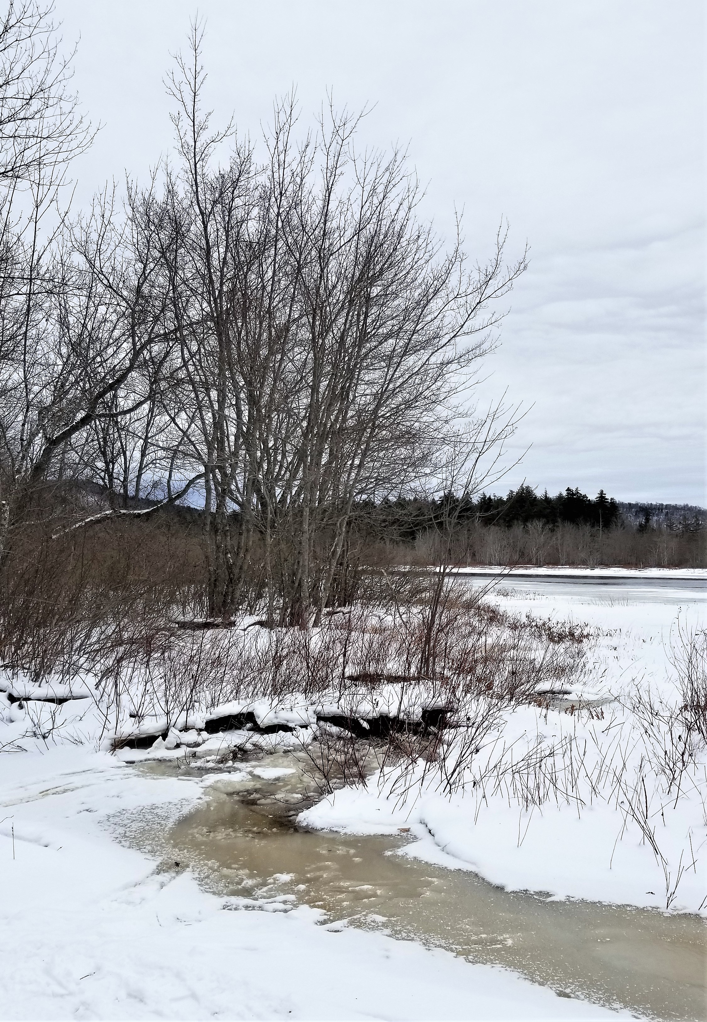 An offshoot of the Sacandaga River as seen from along the Sacandaga River Pathway. The photo is taken in winter and the offshoot is iced over. the landscape is covered with snow, and the leaves are bare.