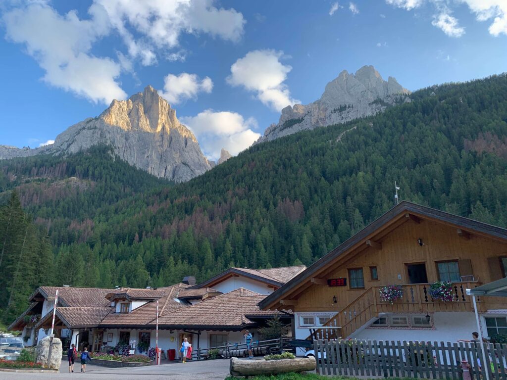 sharp mountain peaks rise above the forest in the Dolomites.