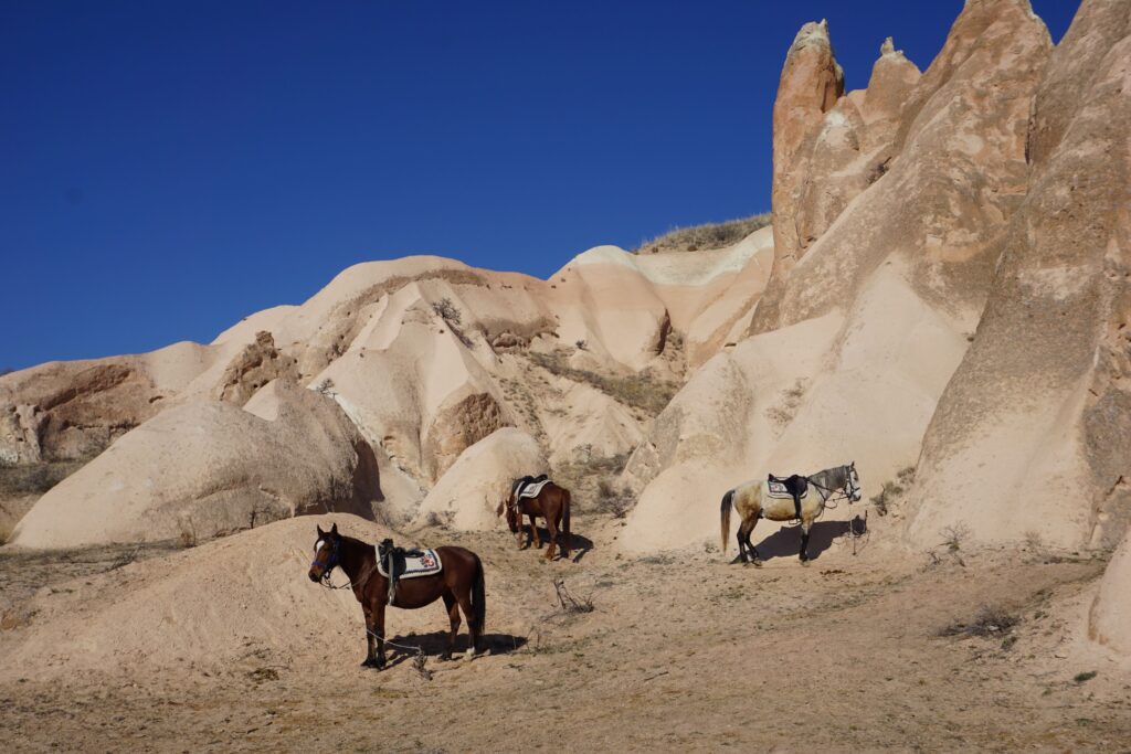 horseback-riding-cappadocia