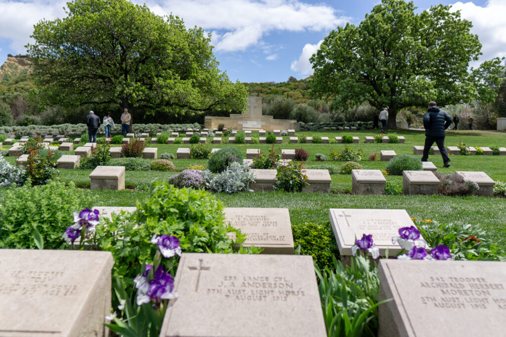 graves in a cemetery with purple flowers.