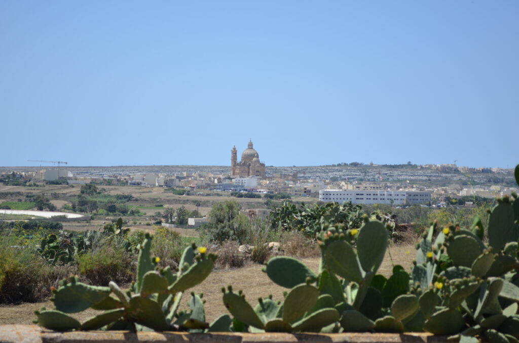 cacti in foreground with a large cathedral in the background.