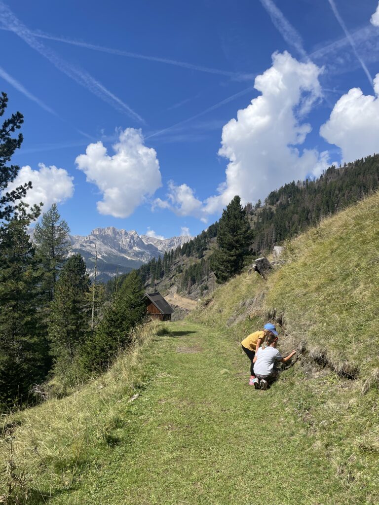 Two children explore a grassy hillside on a clear day, with the jagged peaks of the Dolomites in the background, embodying the adventure and natural beauty encountered on a 3 day Dolomites itinerary.