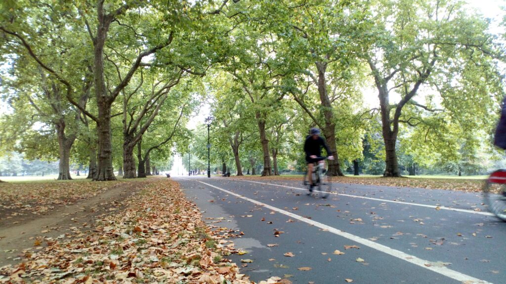 Cyclists and pedestrians enjoying a tranquil autumn day on a leaf-strewn path in Hyde Park, with rows of mature trees lining the avenue.