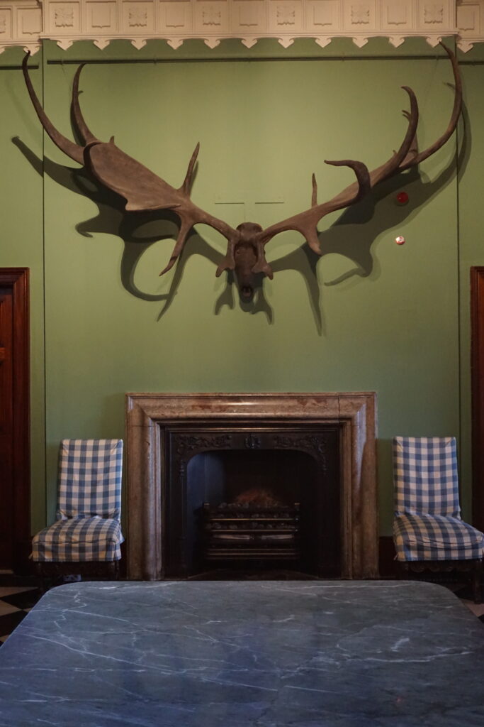 A grand room with a large antler mount on a green wall above a stone fireplace. Two checkered chairs flank the fireplace, creating a rustic and stately ambiance.