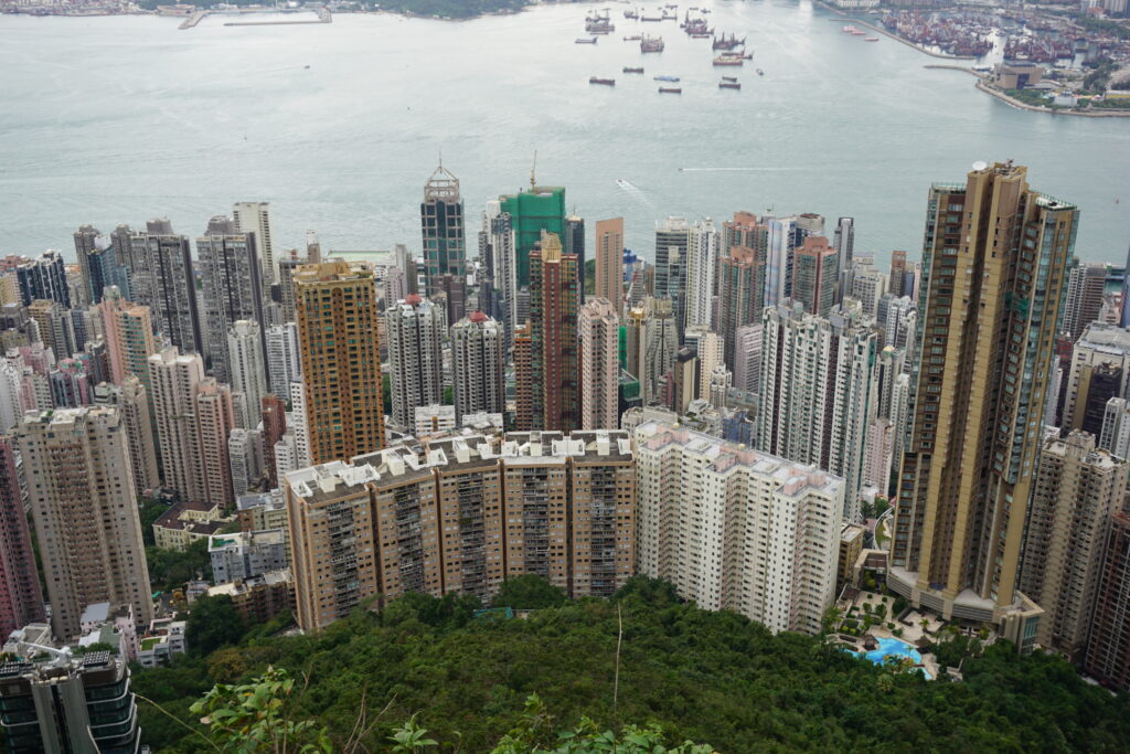 The dense Hong Kong skyline of diverse skyscrapers rises behind a lush green hill, with a calm harbor and numerous ships in the background, conveying urban vibrancy.